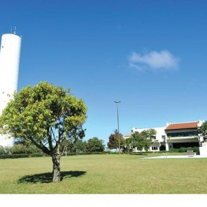 Pavilhão com 10000m², no bairro Nona legua em Caxias do Sul para Comprar