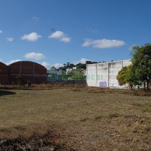 Terreno com 2000m², no bairro São José em Caxias do Sul para Alugar