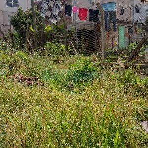 Casa com 90m², 2 dormitórios, no bairro Rio Branco em Caxias do Sul para Comprar