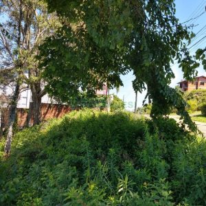 Terreno com 414m², no bairro Colina Sorriso em Caxias do Sul para Comprar