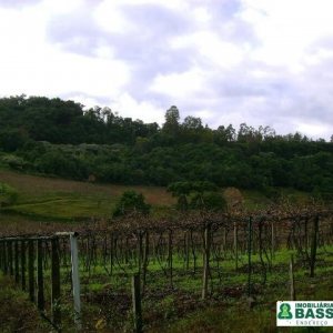 Chácara com 150m², 3 dormitórios, 1 vaga, no bairro Cidade Industrial em Caxias do Sul para Comprar