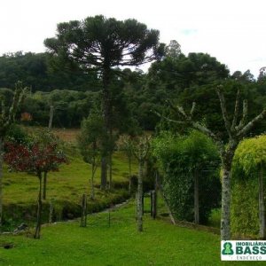 Chácara com 150m², 3 dormitórios, 1 vaga, no bairro Cidade Industrial em Caxias do Sul para Comprar