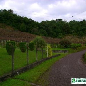 Chácara com 150m², 3 dormitórios, 1 vaga, no bairro Cidade Industrial em Caxias do Sul para Comprar