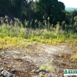 Chácara, no bairro Linha 40 em Caxias do Sul para Comprar