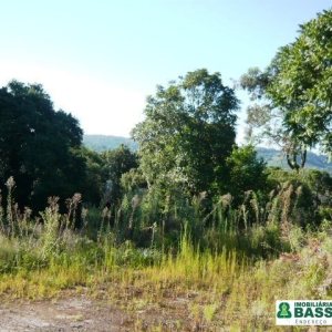 Chácara, no bairro Linha 40 em Caxias do Sul para Comprar