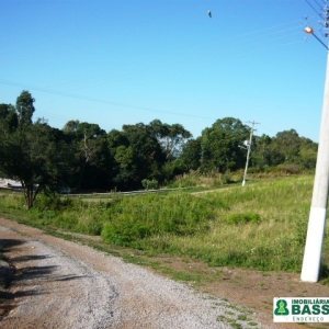 Chácara, no bairro Linha 40 em Caxias do Sul para Comprar