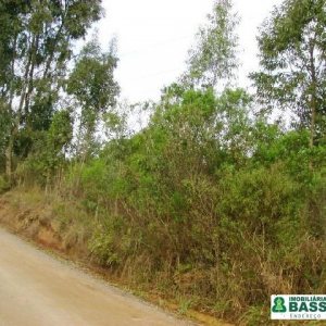 Terreno, no bairro Moinhos de Vento em Caxias do Sul para Comprar