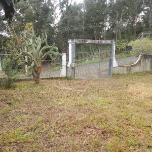 Casa com 42m², 2 dormitórios, no bairro Desvio Rizzo em Caxias do Sul para Comprar