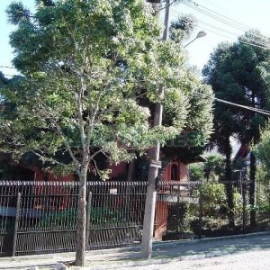 Casa com 600m², 5 dormitórios, 4 vagas, no bairro Saint Etienne em Caxias do Sul para Comprar