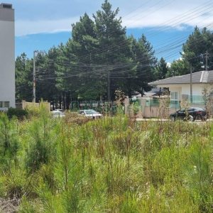 Terreno com 453m², no bairro Vitoria em Caxias do Sul para Comprar