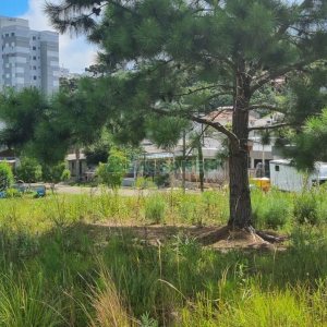 Terreno com 453m², no bairro Vitoria em Caxias do Sul para Comprar