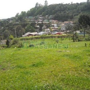 Terreno com 2292m², no bairro Santo Antônio em Caxias do Sul para Alugar