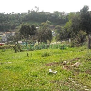 Terreno com 2292m², no bairro Santo Antônio em Caxias do Sul para Alugar