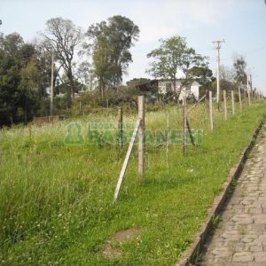 Terreno com 2292m², no bairro Santo Antônio em Caxias do Sul para Alugar