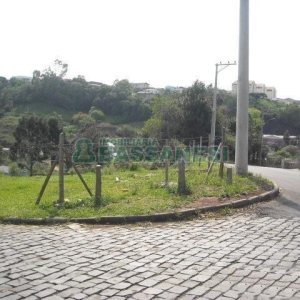 Terreno com 2292m², no bairro Santo Antônio em Caxias do Sul para Alugar