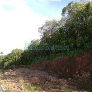 Terreno com 28866m², no bairro Mato Perso em Flores da Cunha para Alugar