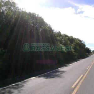 Terreno com 28866m², no bairro Mato Perso em Flores da Cunha para Alugar