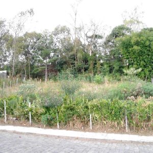 Terreno com 720m², no bairro Charqueadas em Caxias do Sul para Alugar