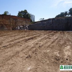 Terreno com 1750m², no bairro São Pelegrino em Caxias do Sul para Alugar