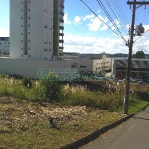 Terreno com 2400m², no bairro Floresta em Caxias do Sul para Alugar