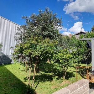 Casa com 193m², 4 dormitórios, 3 vagas, no bairro Desvio Rizzo em Caxias do Sul para Comprar