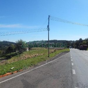 Terreno com 24000m², no bairro Pedancino em Caxias do Sul para Alugar