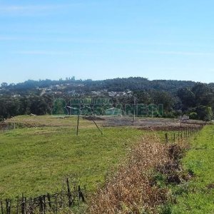 Terreno com 24000m², no bairro Pedancino em Caxias do Sul para Alugar