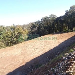 Terreno com 24000m², no bairro Pedancino em Caxias do Sul para Alugar