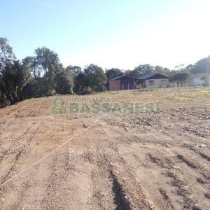 Terreno com 24000m², no bairro Pedancino em Caxias do Sul para Alugar