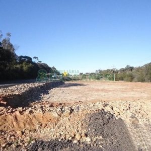 Terreno com 24000m², no bairro Pedancino em Caxias do Sul para Alugar
