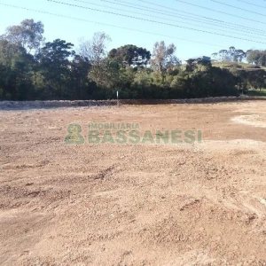 Terreno com 24000m², no bairro Pedancino em Caxias do Sul para Alugar