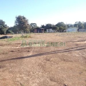 Terreno com 24000m², no bairro Pedancino em Caxias do Sul para Alugar