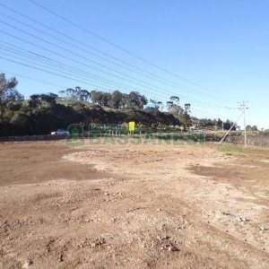 Terreno com 24000m², no bairro Pedancino em Caxias do Sul para Alugar