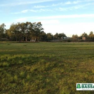 Pavilhão com 5000m², no bairro Distrito Industrial em Caxias do Sul para Alugar