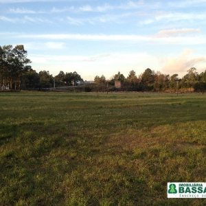 Pavilhão com 5000m², no bairro Distrito Industrial em Caxias do Sul para Alugar
