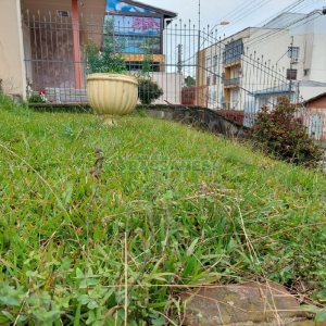 Casa Comercial com 270m², 3 dormitórios, 3 vagas, no bairro Centro em Caxias do Sul para Alugar