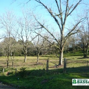 Terreno com 360m², no bairro São Caetano em Caxias do Sul para Comprar