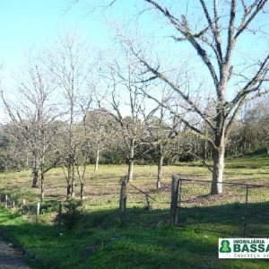 Terreno com 360m², no bairro São Caetano em Caxias do Sul para Comprar