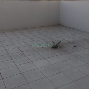 Loja com 312m², no bairro Pio X em Caxias do Sul para Alugar