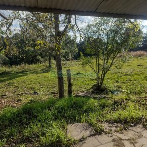 Terreno com 60055m², no bairro Mariland em Caxias do Sul para Comprar