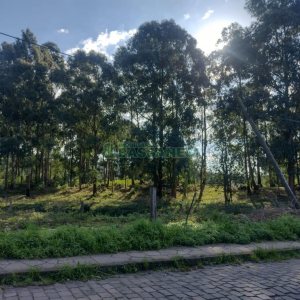 Terreno com 60055m², no bairro Mariland em Caxias do Sul para Comprar