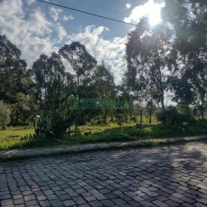 Terreno com 60055m², no bairro Mariland em Caxias do Sul para Comprar