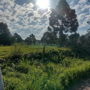 Terreno com 60055m², no bairro Mariland em Caxias do Sul para Comprar
