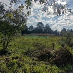 Terreno com 60055m², no bairro Mariland em Caxias do Sul para Comprar