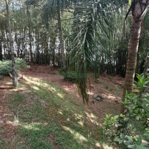 Casa com 400m², 3 dormitórios, 2 vagas, no bairro Santa Catarina em Caxias do Sul para Alugar