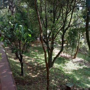 Casa com 400m², 3 dormitórios, 2 vagas, no bairro Santa Catarina em Caxias do Sul para Alugar