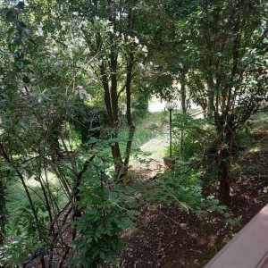 Casa com 400m², 3 dormitórios, 2 vagas, no bairro Santa Catarina em Caxias do Sul para Alugar