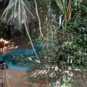 Casa com 400m², 3 dormitórios, 2 vagas, no bairro Santa Catarina em Caxias do Sul para Alugar