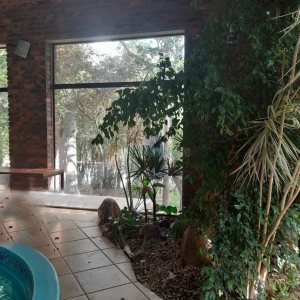 Casa com 400m², 3 dormitórios, 2 vagas, no bairro Santa Catarina em Caxias do Sul para Alugar