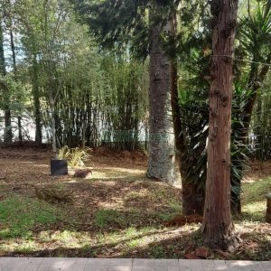 Casa com 400m², 3 dormitórios, 2 vagas, no bairro Santa Catarina em Caxias do Sul para Alugar